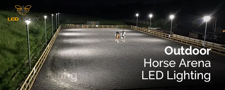 Solar flood lights for deals horse arena