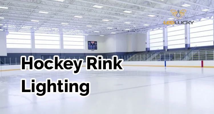 NHL Arenas: A Comprehensive Guide to the Rinks - The Stadiums Guide